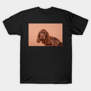 Sussex Spaniel Puppy T-Shirt